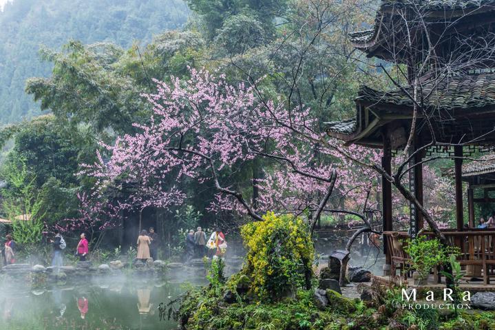 探索世界的智慧,来和伴侣在一起时会做什么幼稚的事?蜗牛问答平台吧!