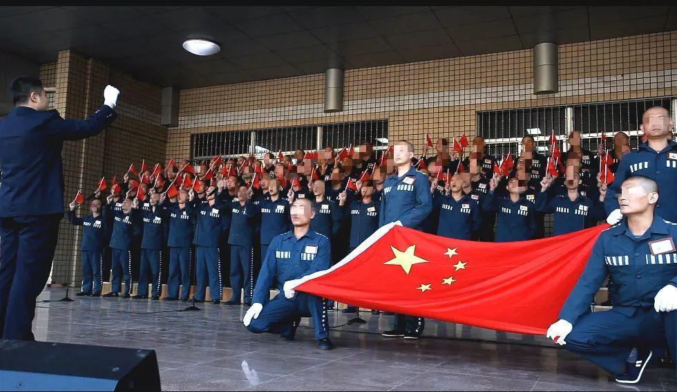 动物狂欢夜